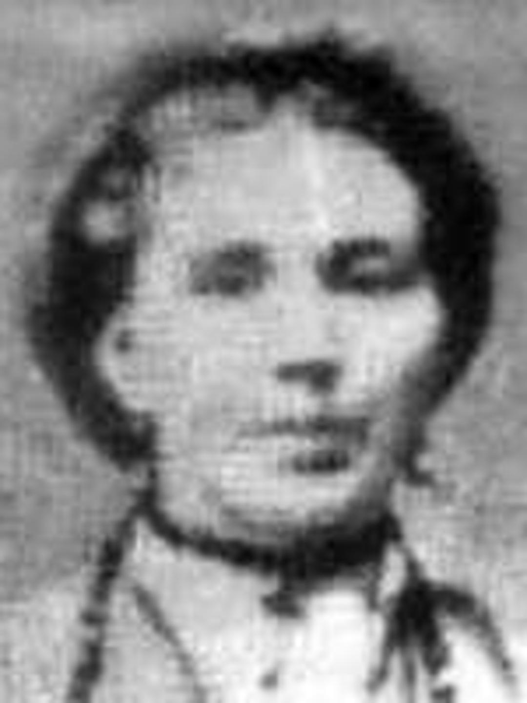 Lydia Daines (1806 - 1868) Profile